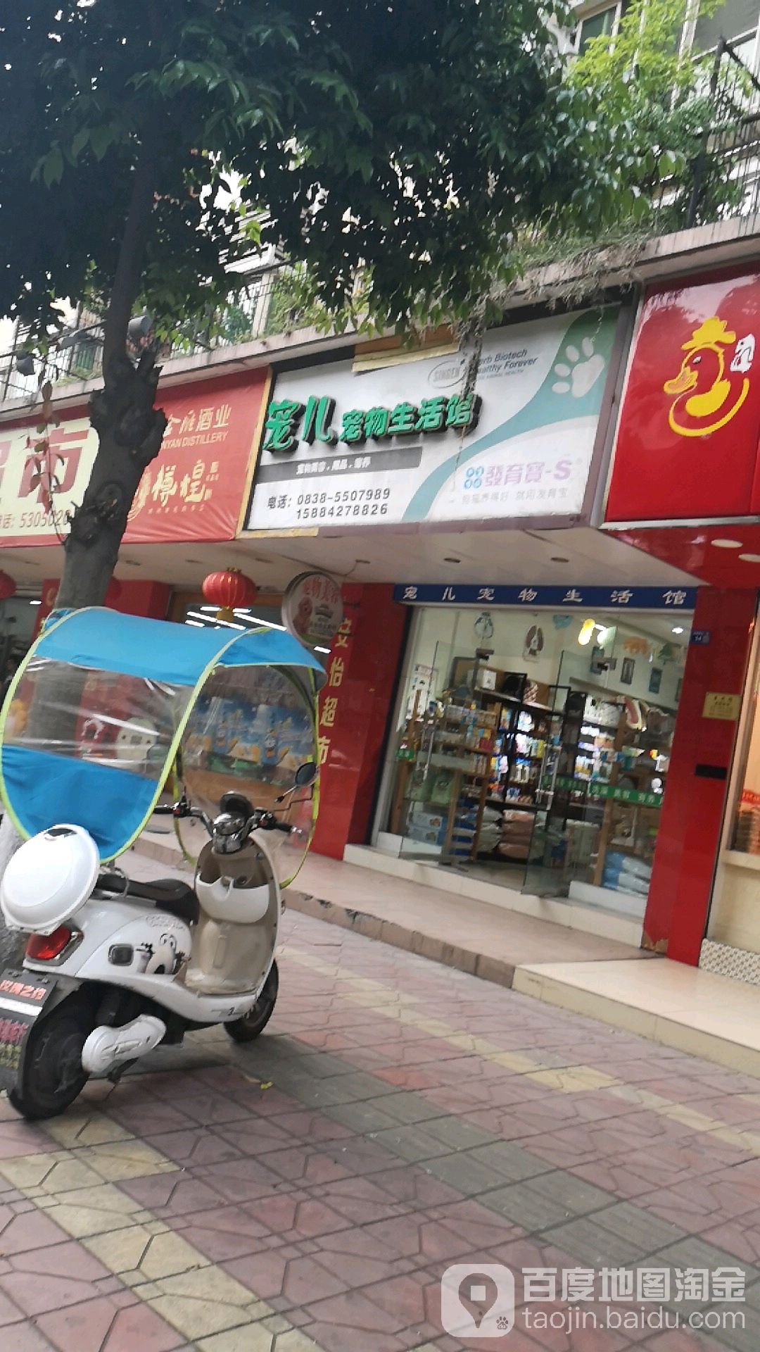宠儿宠物生活馆(月明风清店)