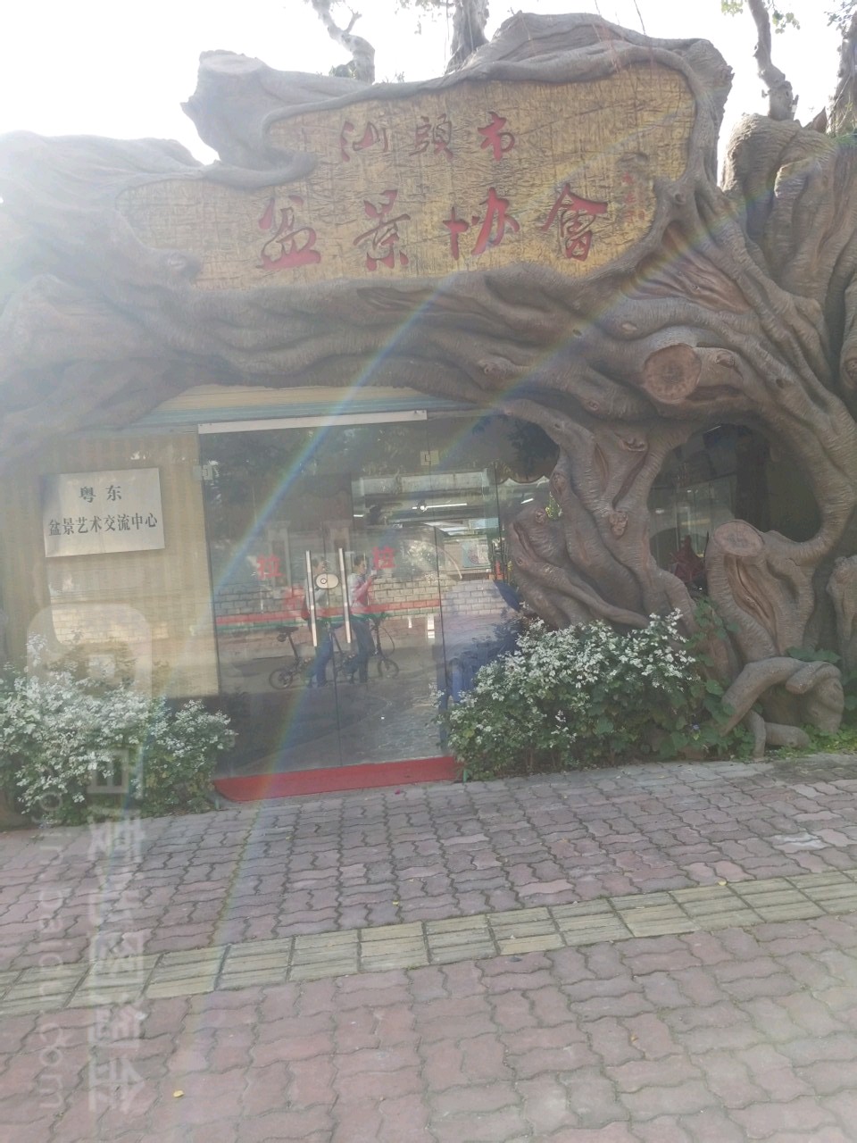 汕头市盆景协会
