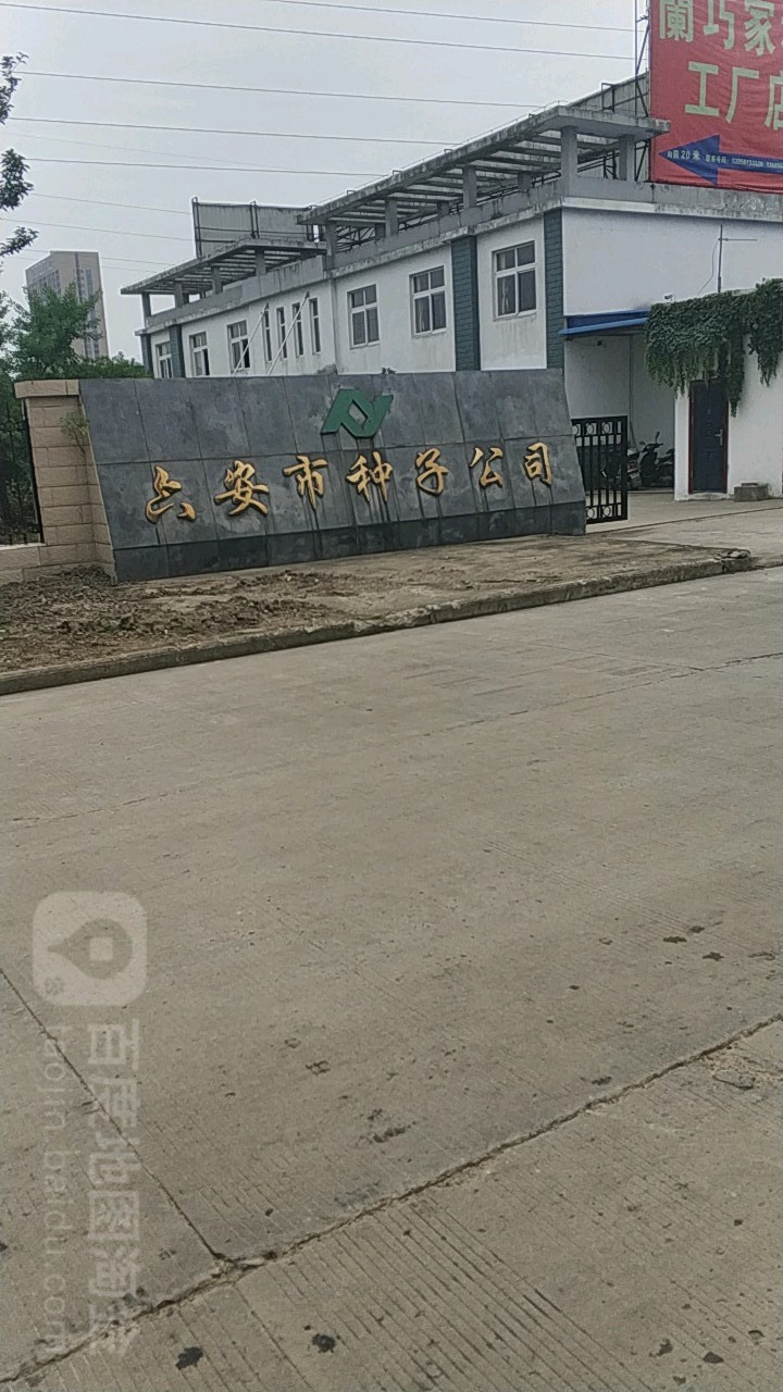 六安市种子公司