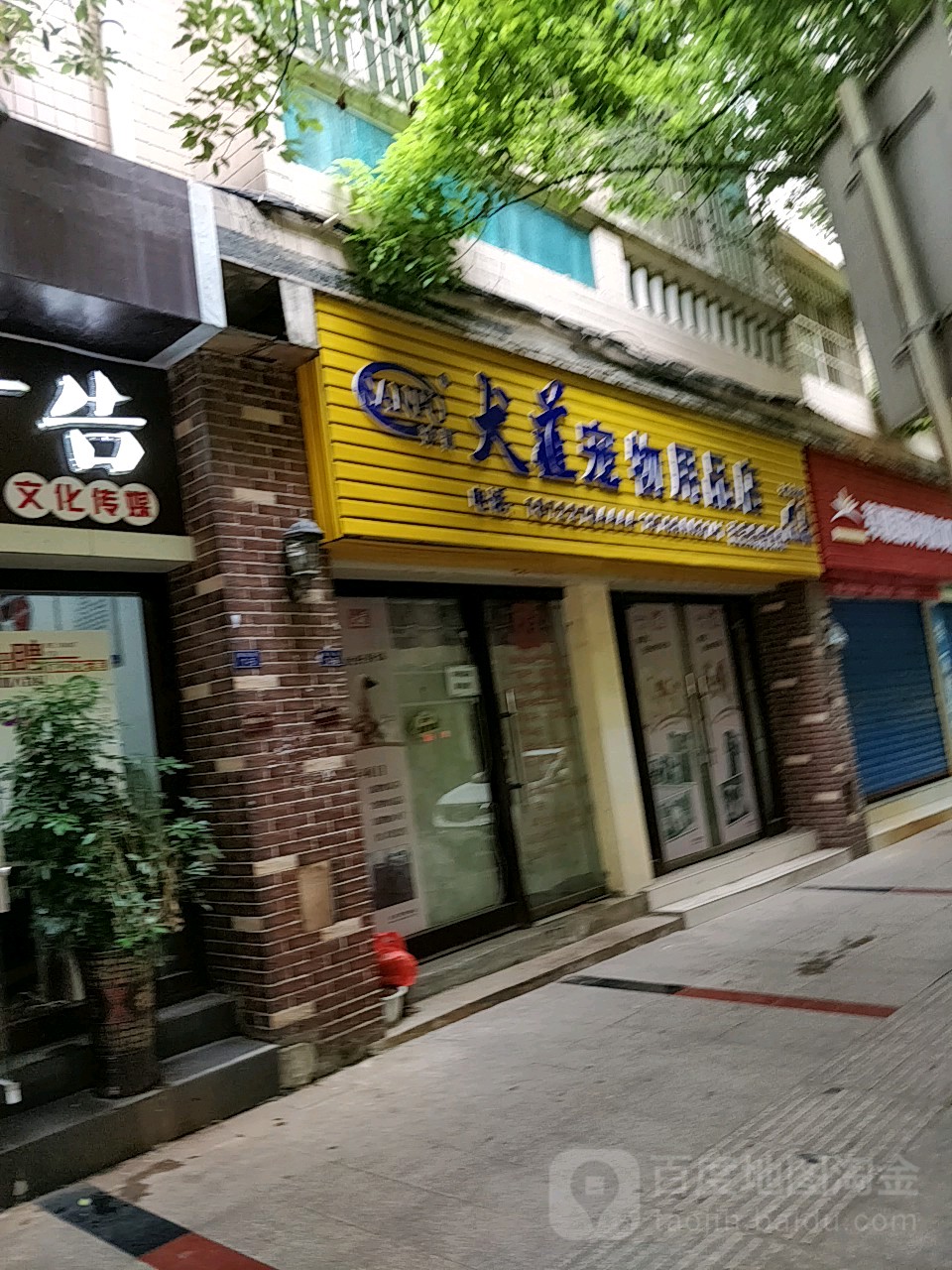 犬道宠物用品店