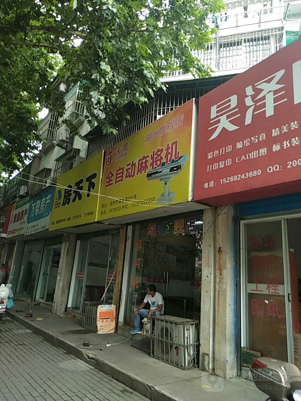 天和全自动麻将机(湖州旗舰店)