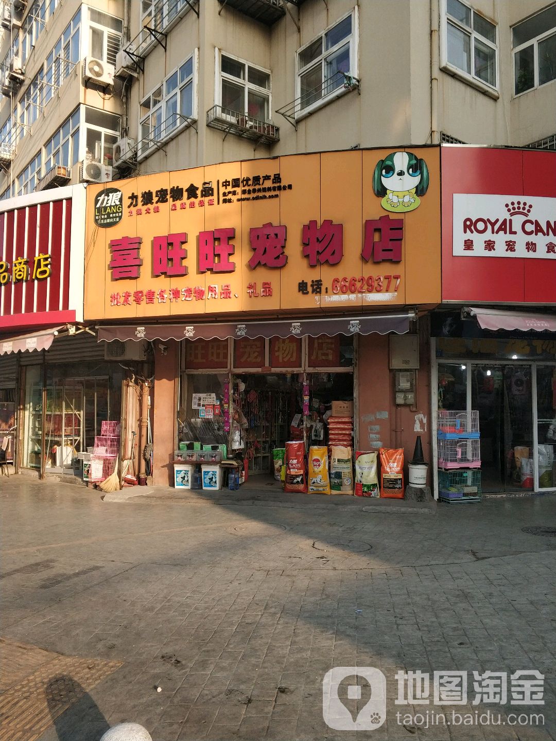 喜旺旺宠物店(桑梓路店)