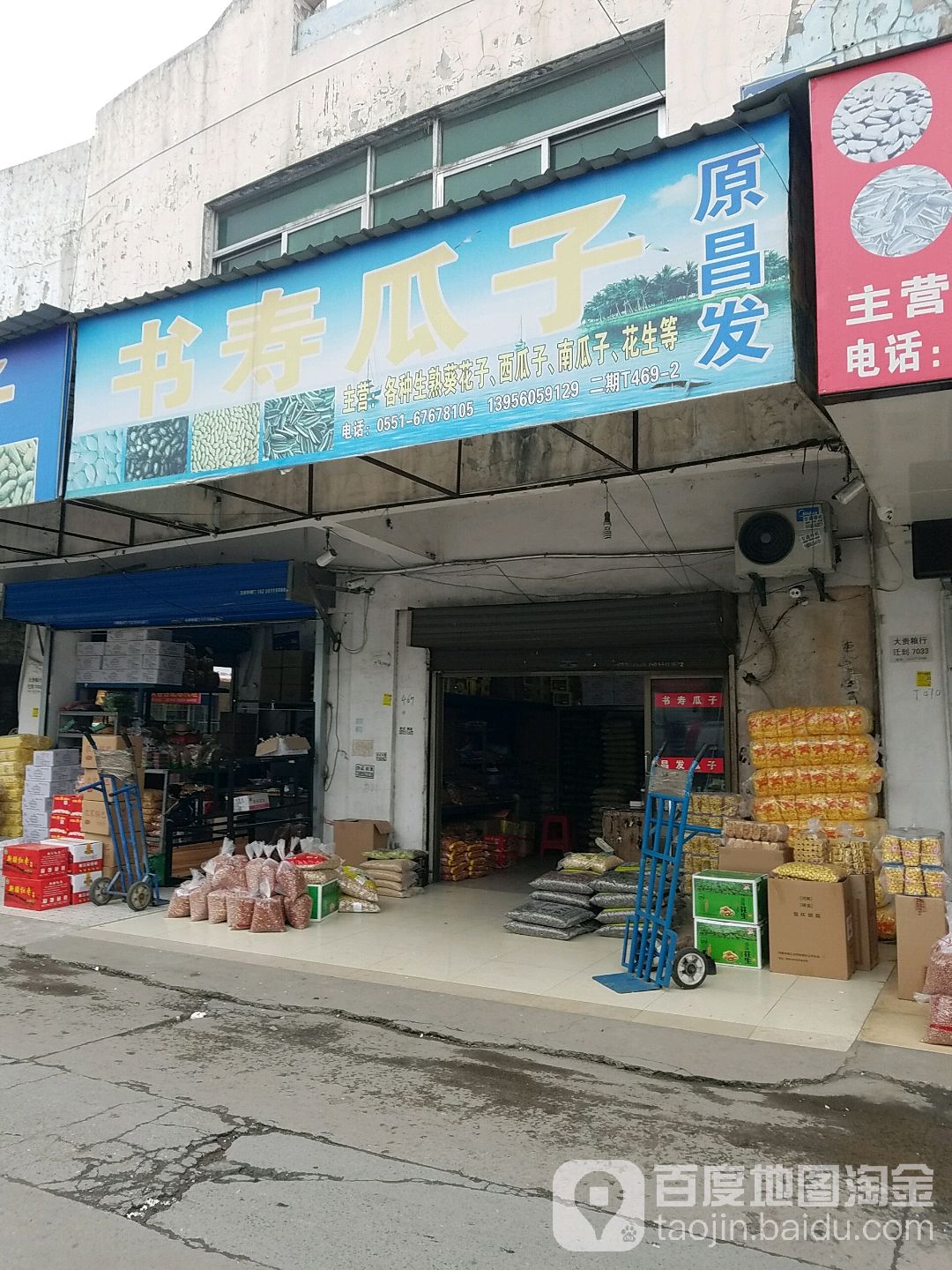 书寿瓜籽