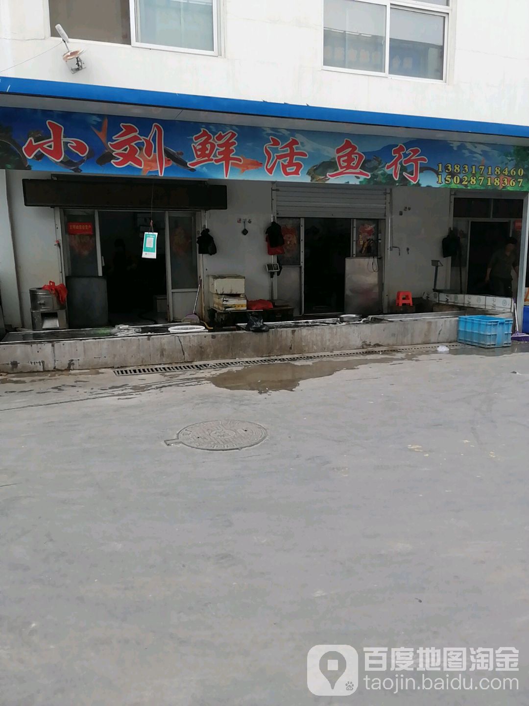 鲜小螨鱼海科兖刘行
