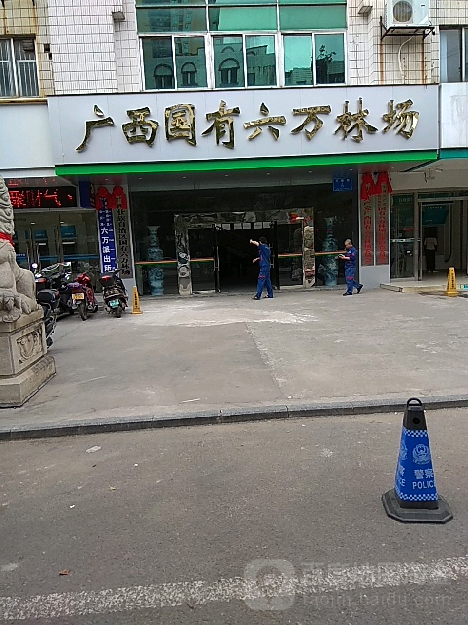 广西国有六万林场
