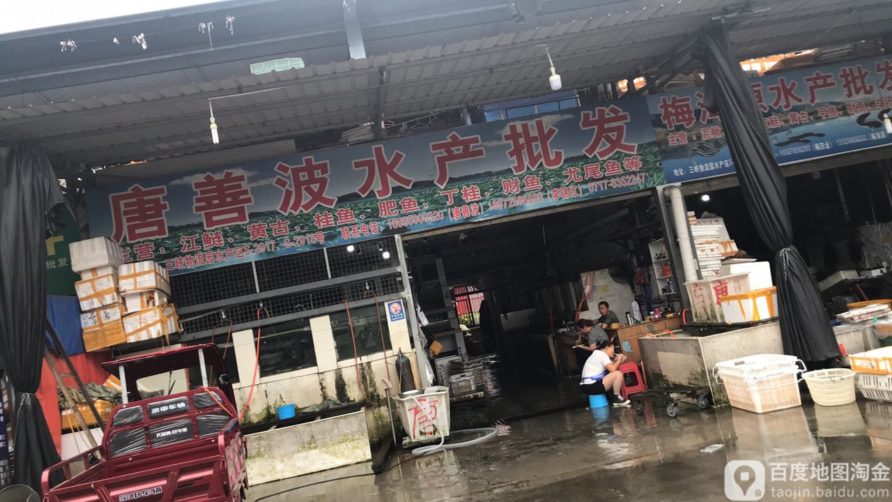 唐善波水产批fa