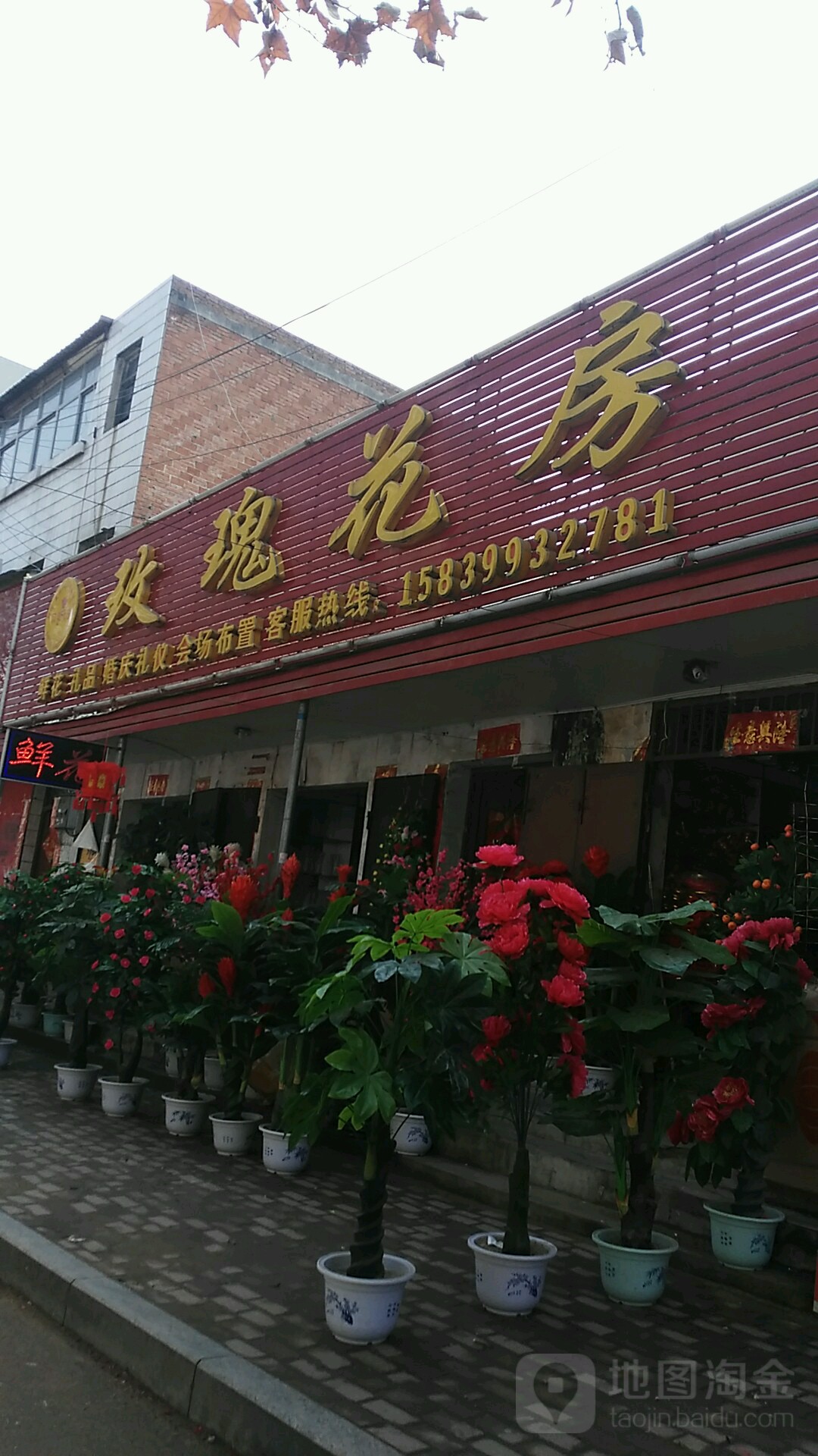 桐柏县玫瑰花房no.2(淮河路店)