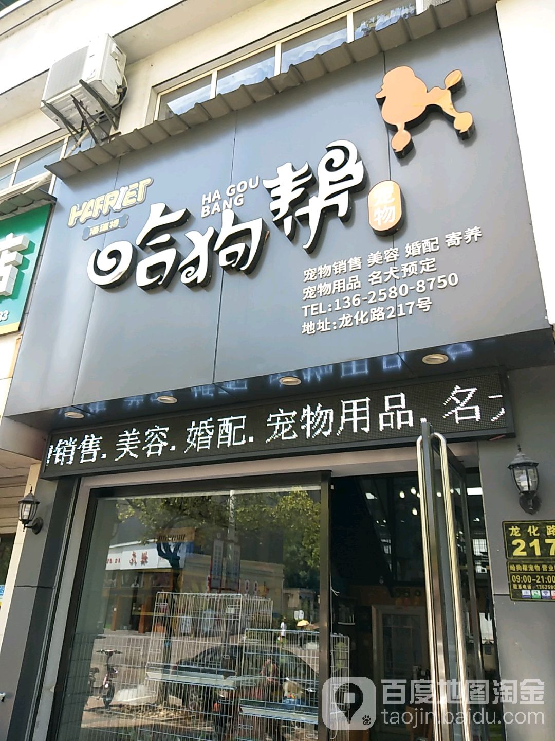 哈狗帮宠物会所(龙化路店)