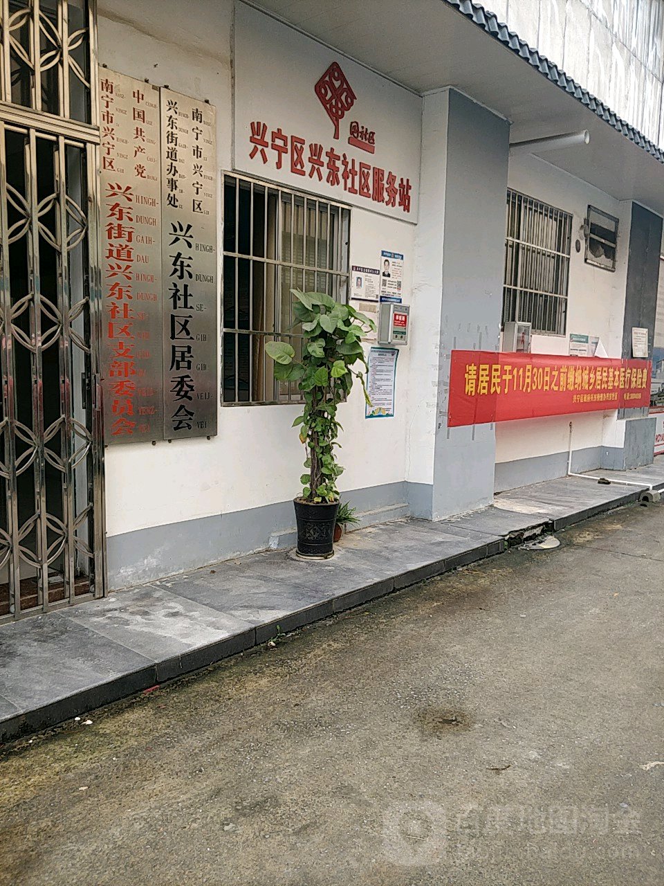 广西壮族自治区南宁市兴宁区南梧路广西花鸟交易市场西侧约110米