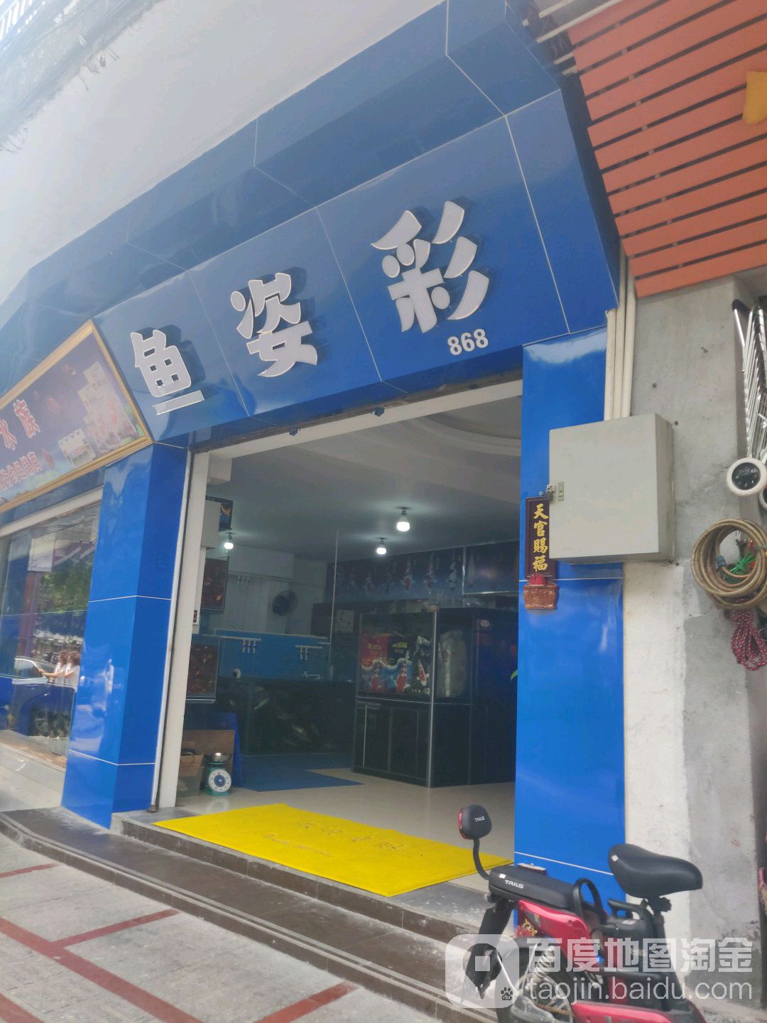 鱼姿彩水族馆