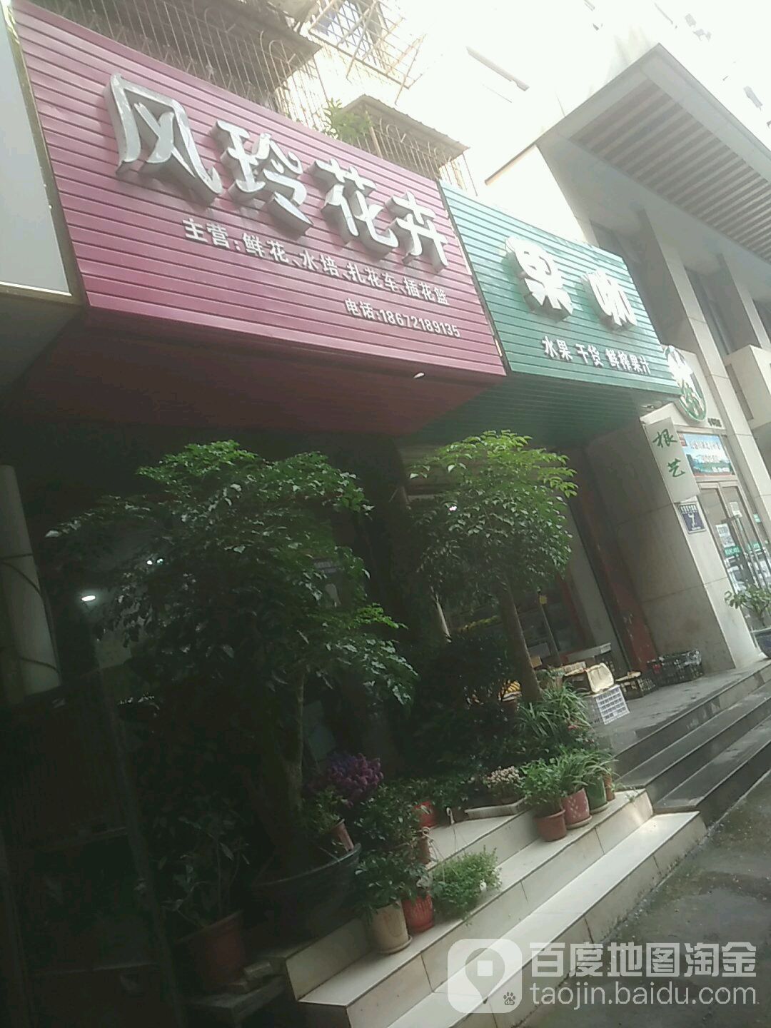 风铃花卉
