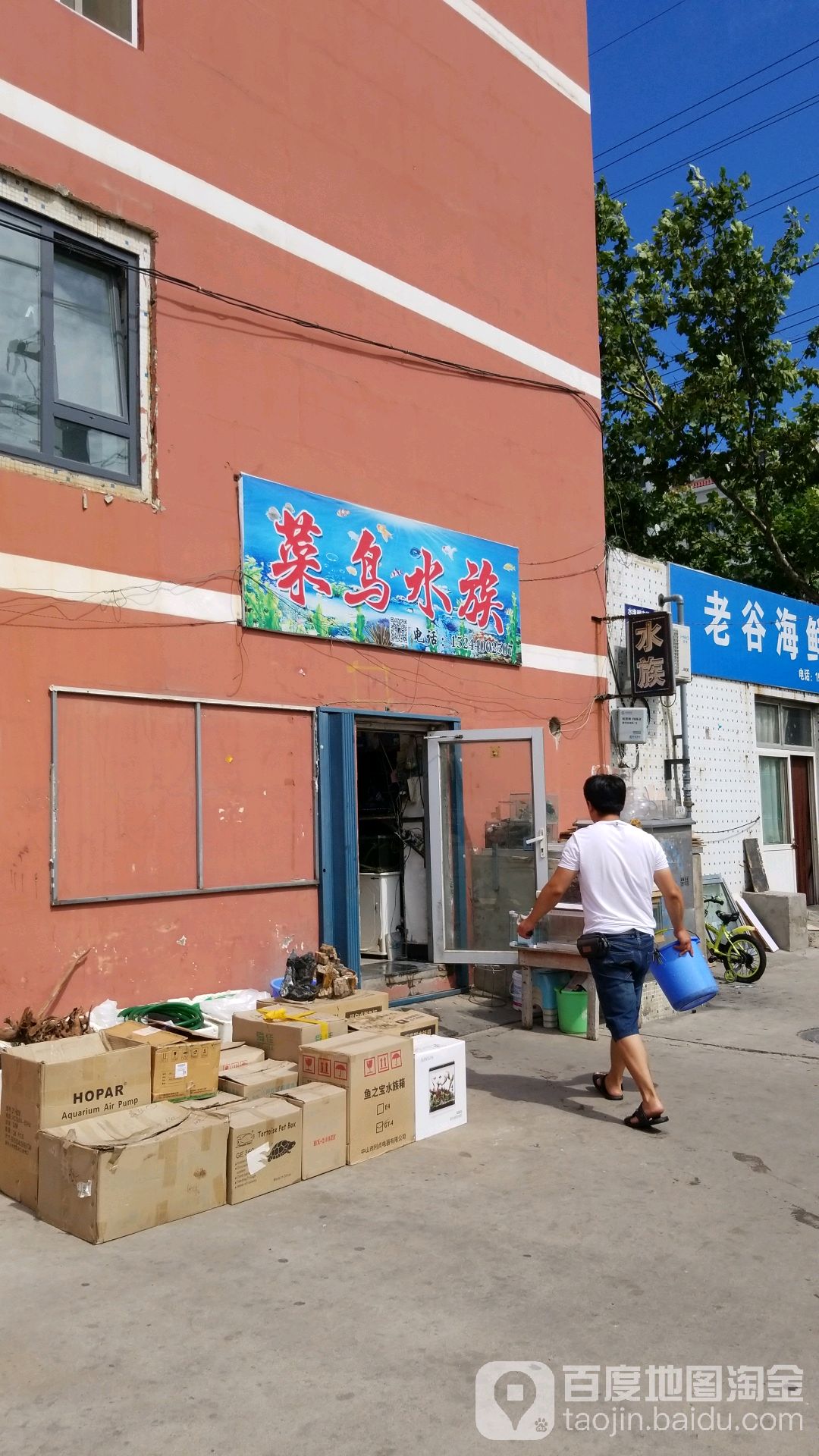威海菜鸟水族