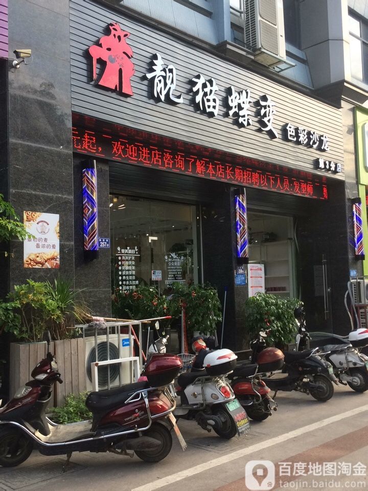 靓猫蝶变色彩沙龙(第3路店)