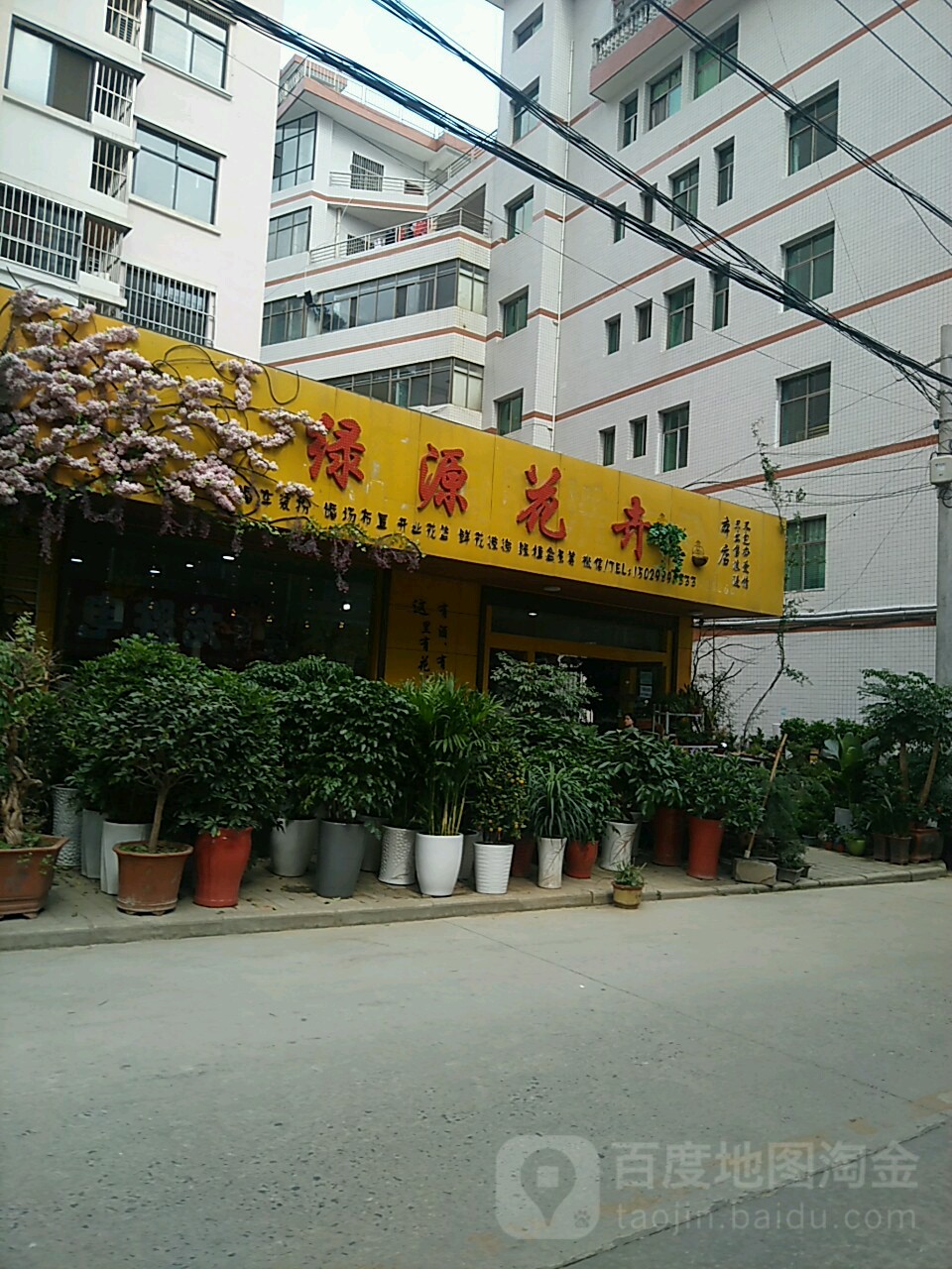 绿源花卉工作室(涝巷街店)