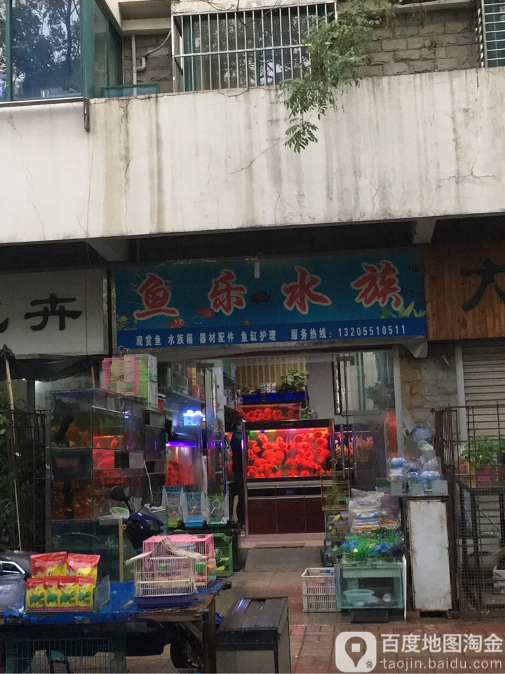 鱼乐水族(义井路店)