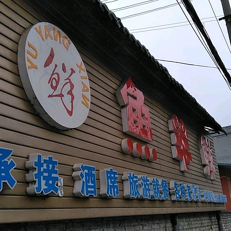 鱼洋鲜(建设南路店)