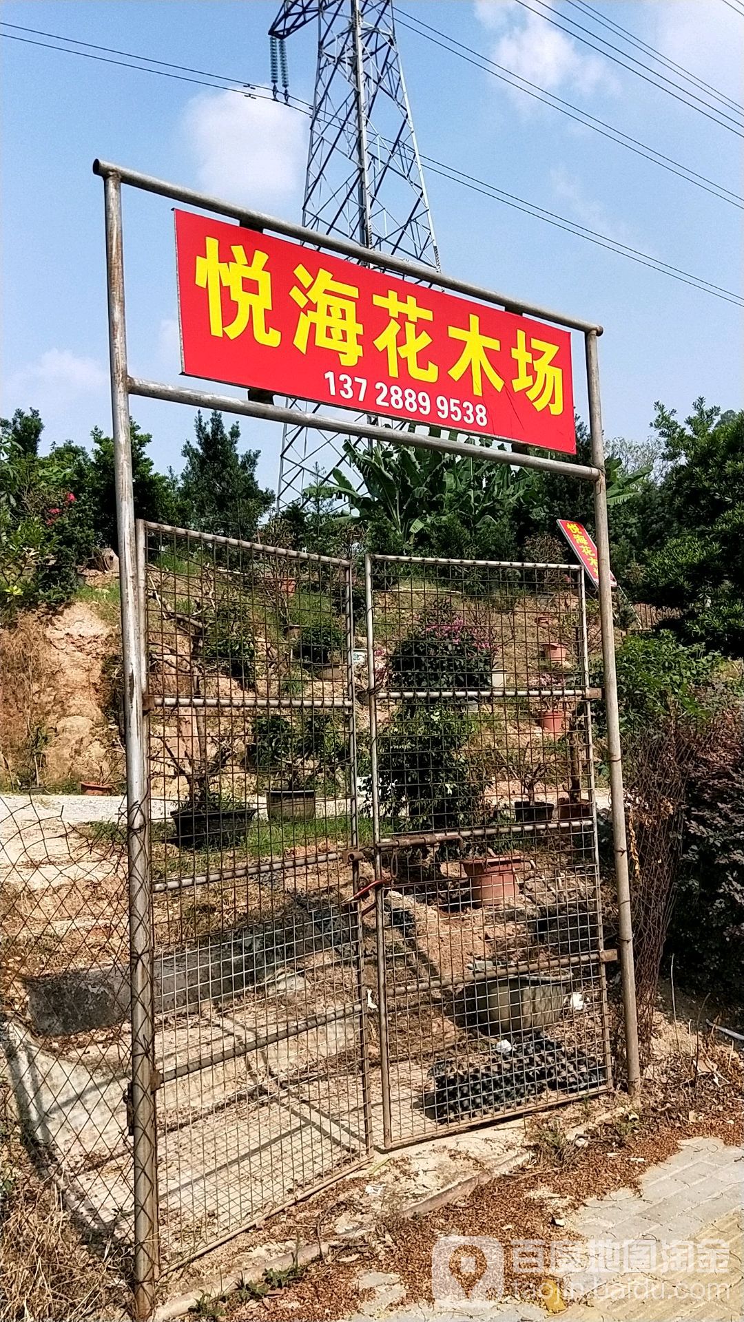 悦海花木场
