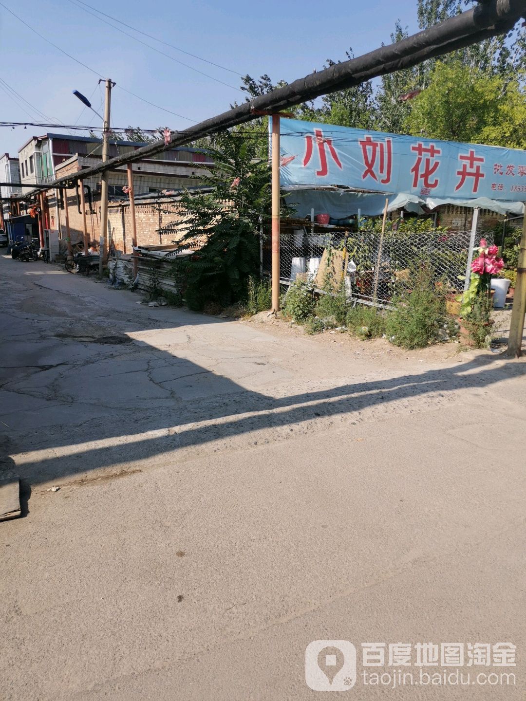 小刘花卉(杨盘街店)