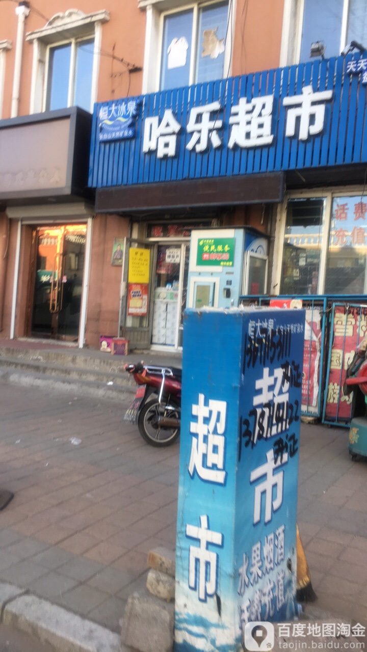 哈乐超市(红树三街店)