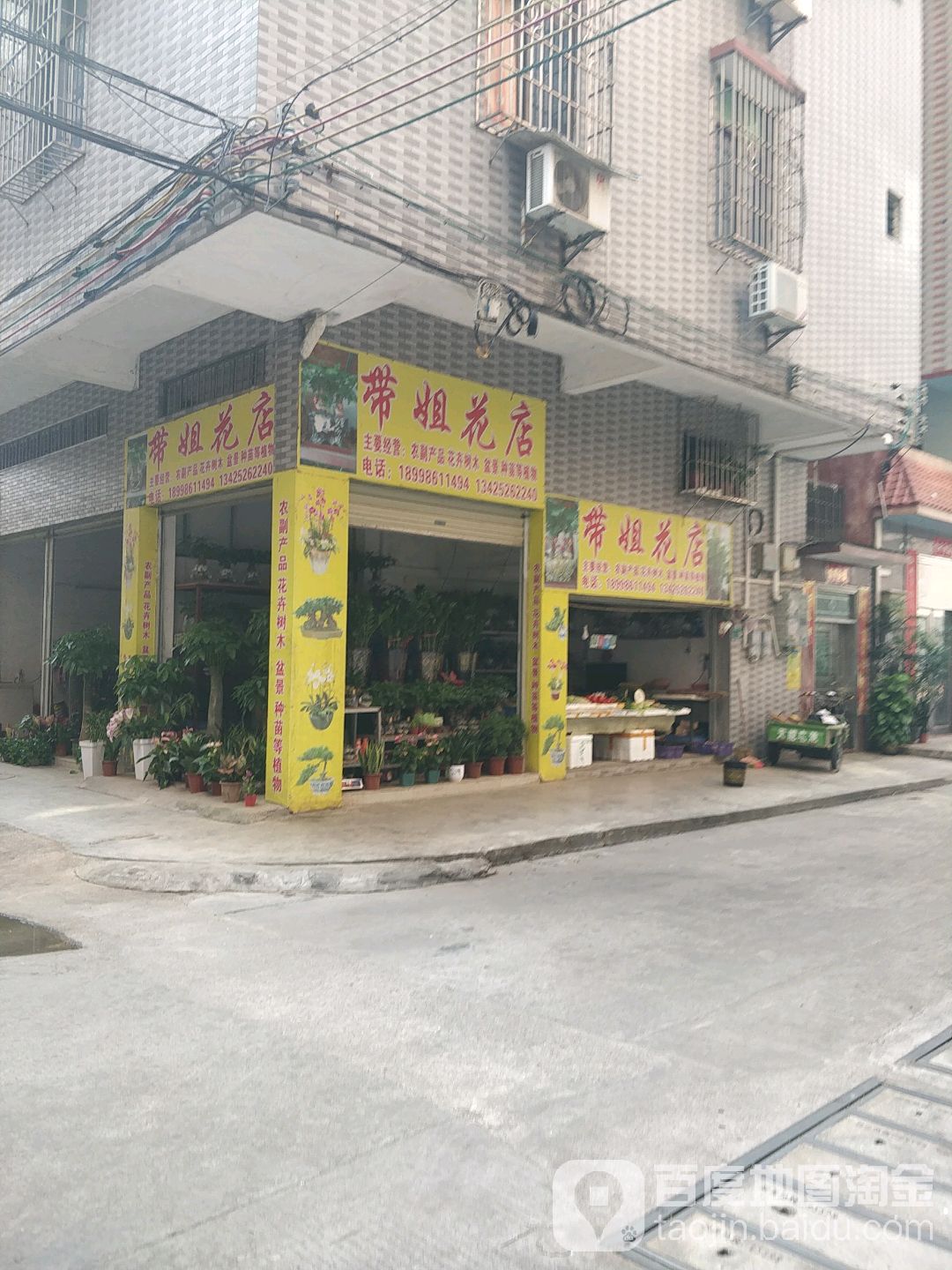 带姐花点