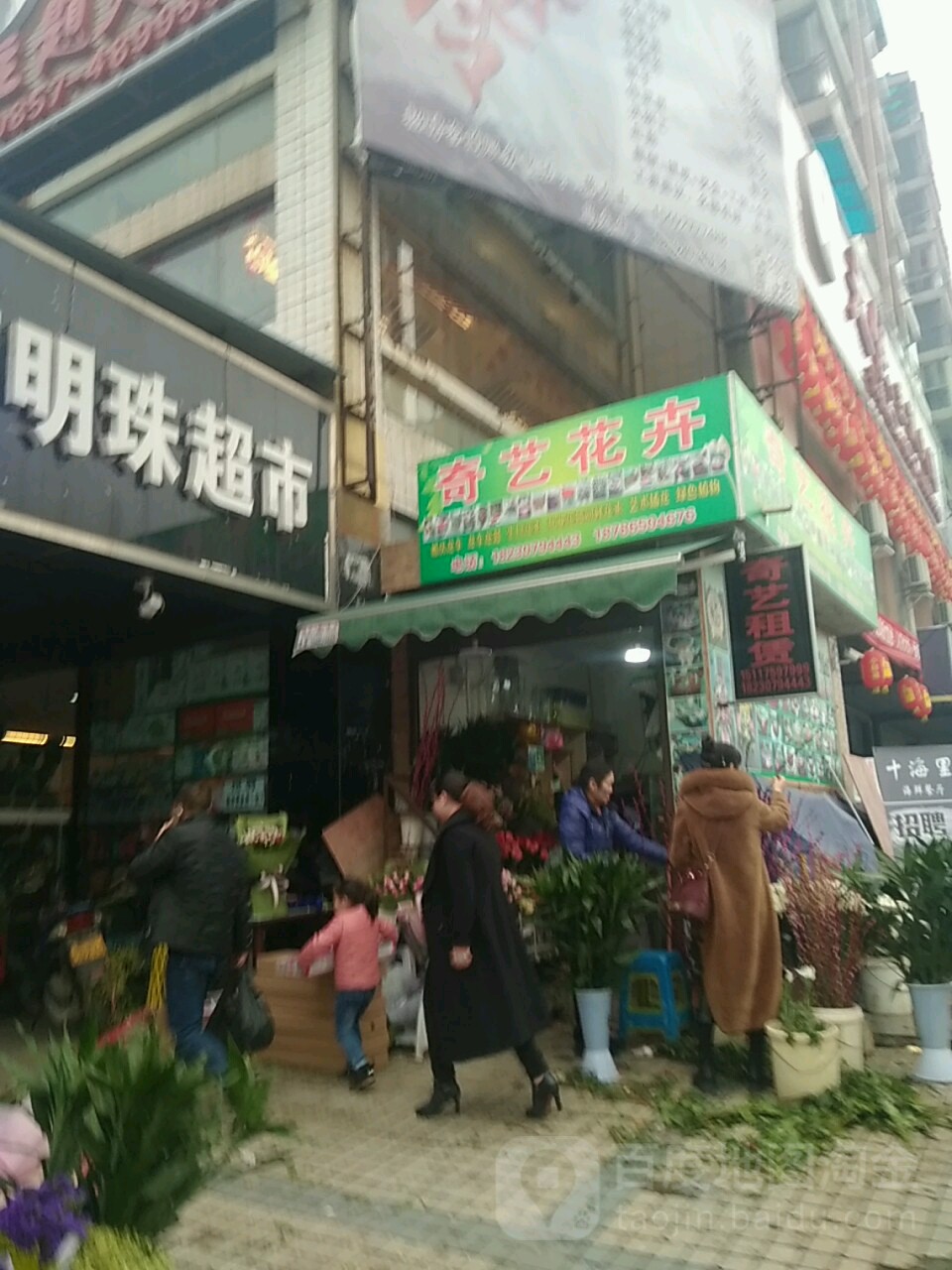 奇艺花卉