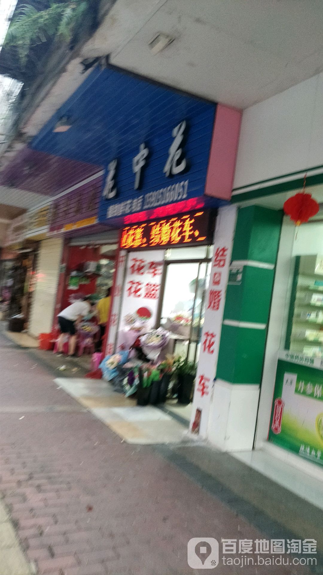 花中花花店植物(曙光一路店)