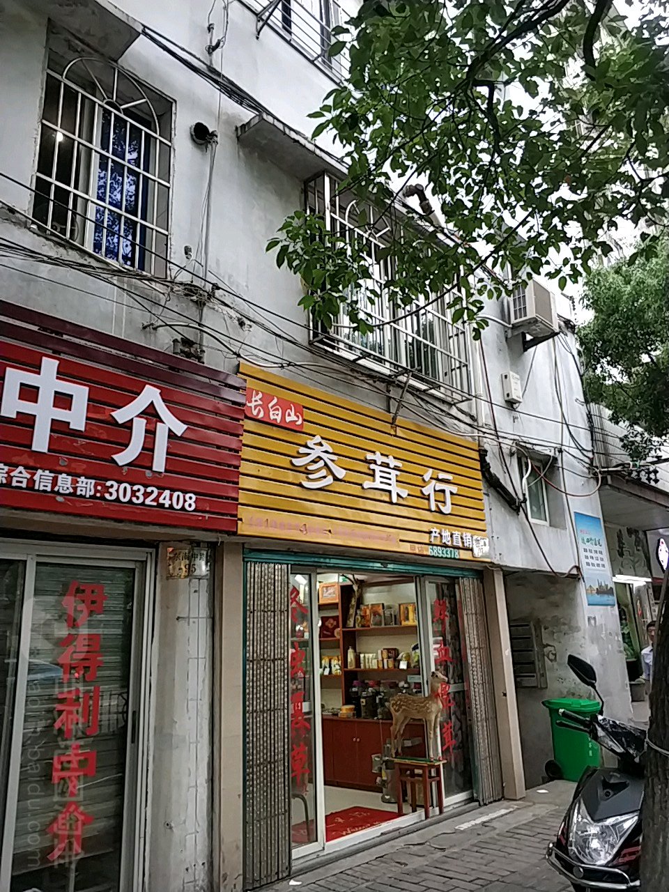 学而思山参茸行(东海中路店)