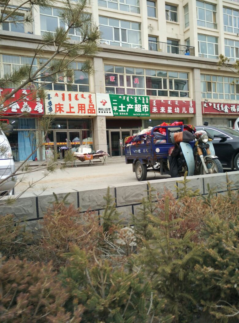 二平土产超市