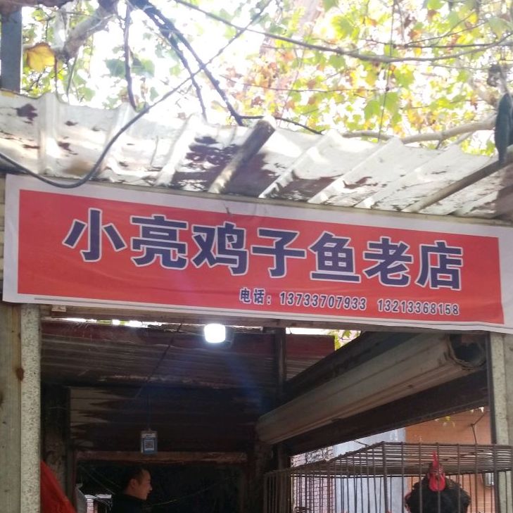 小亮鸡子鱼老店