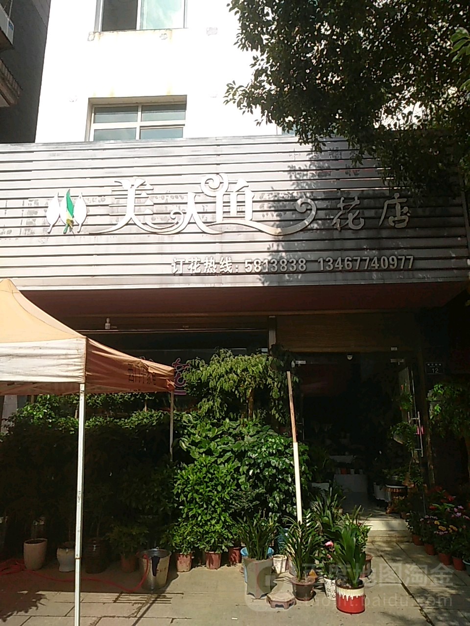 美人鱼花店