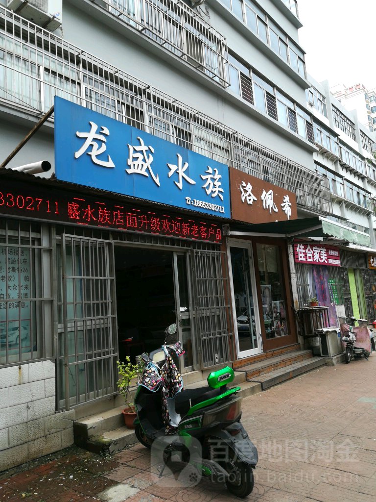 龙盛水族