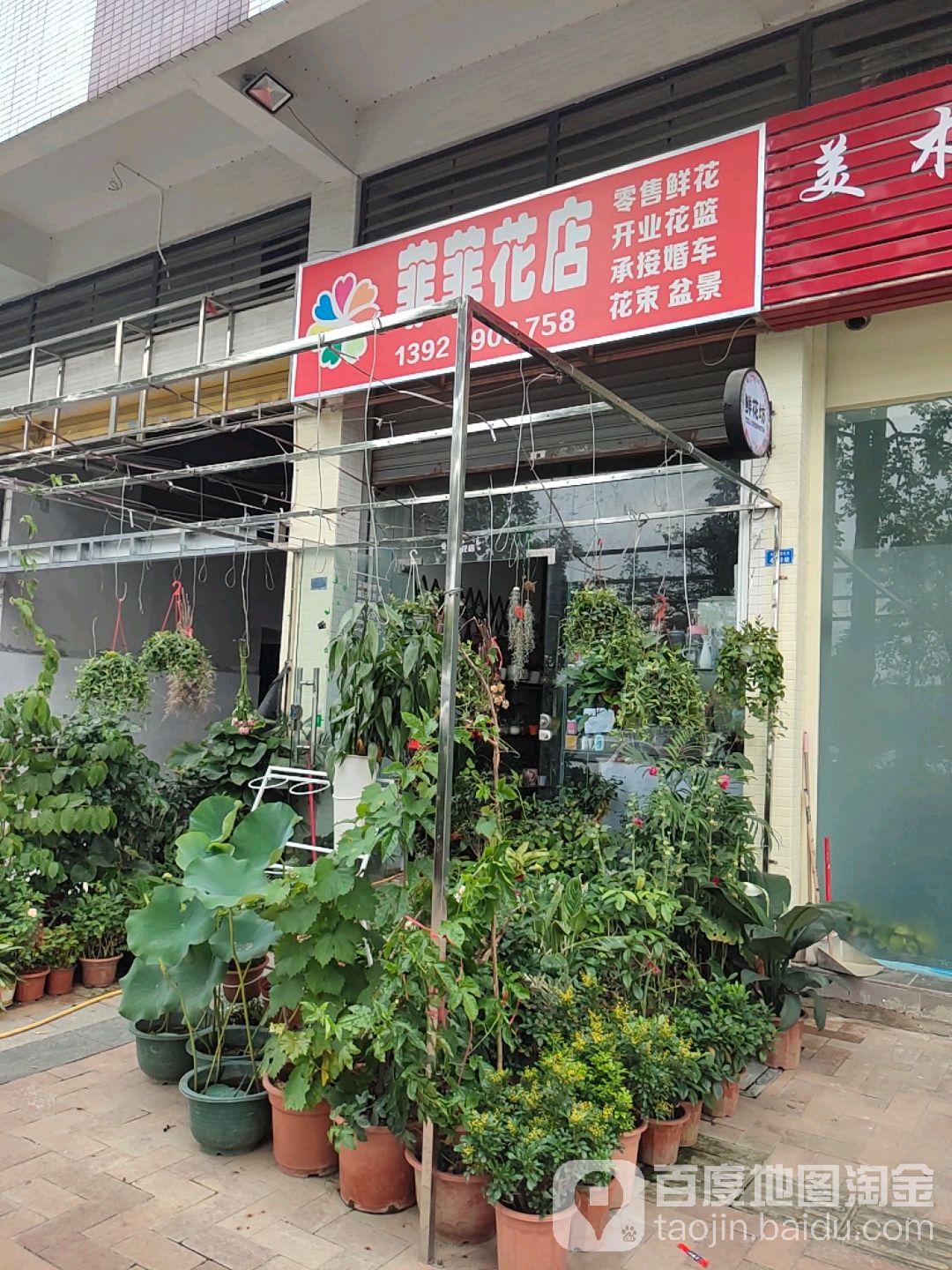 菲菲花店(新悦路店)