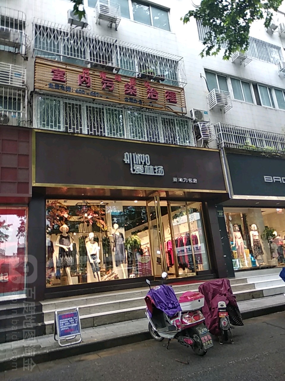 爱林扬专卖店(新动力名店)