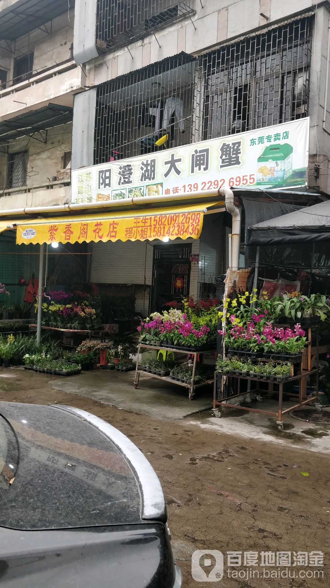 紫香阁花店