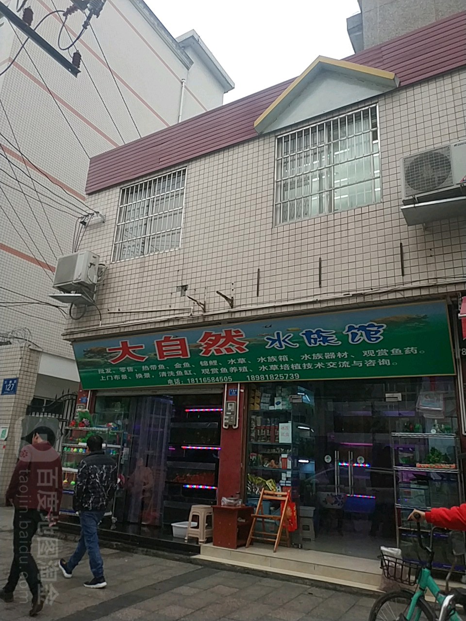 大区自然水族馆(万春路店)