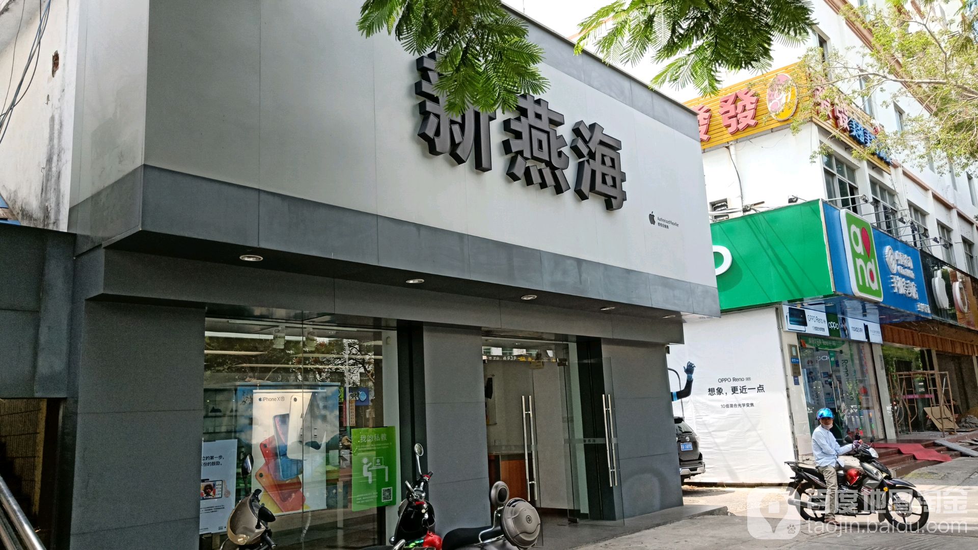 新燕海
