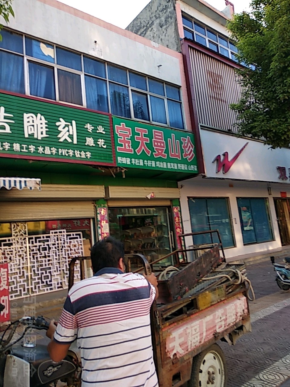 镇平县宝天曼山珍(镇平总店)