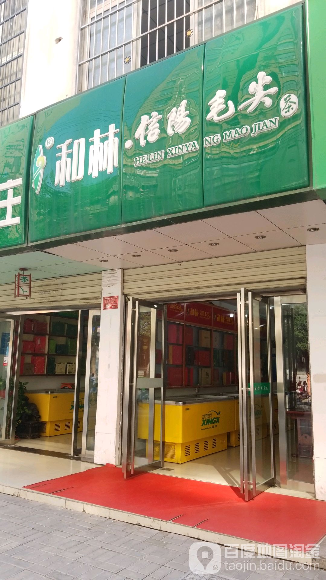 文新信阳毛尖(礼节路店)