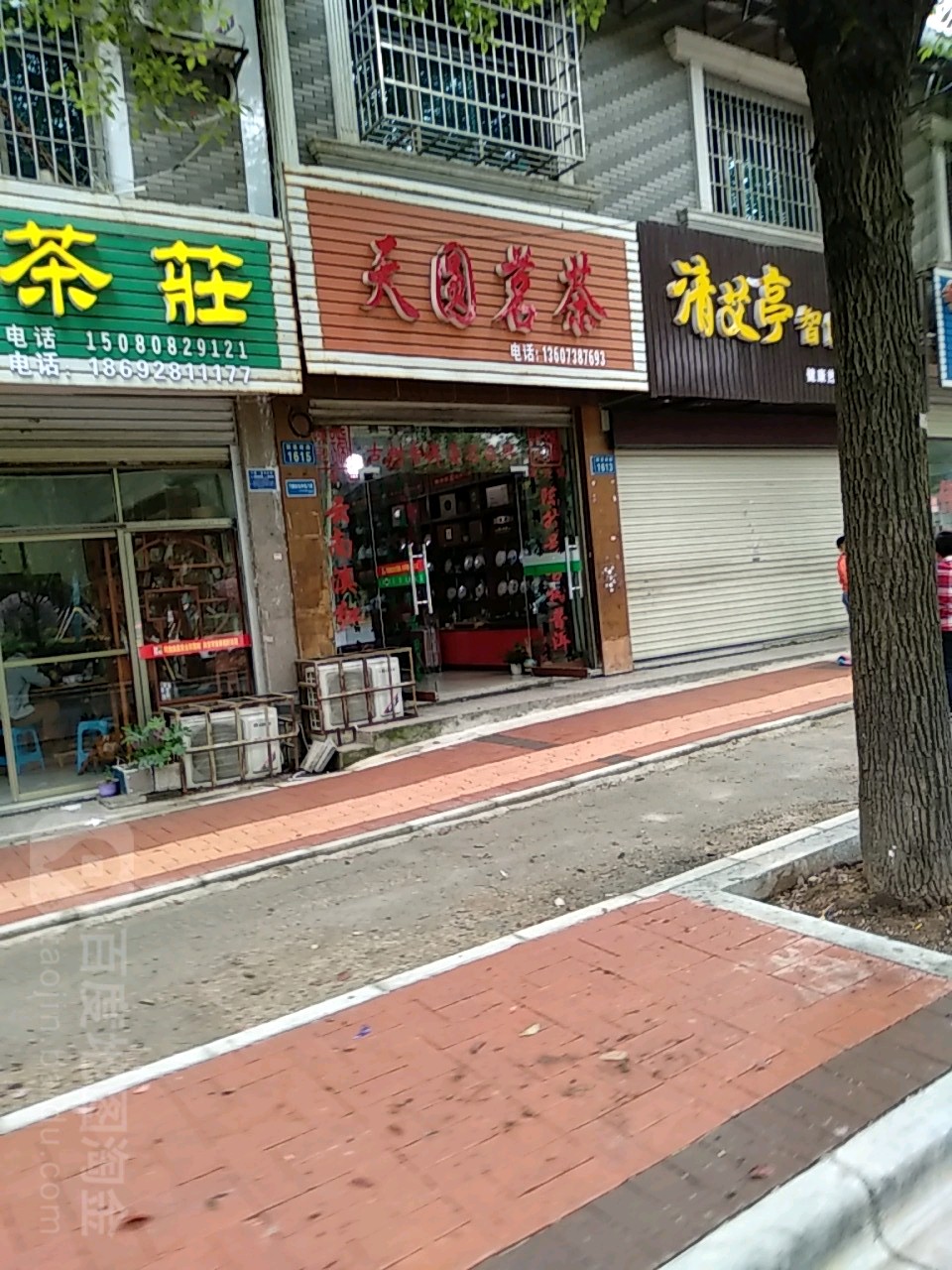 天圆茗茶
