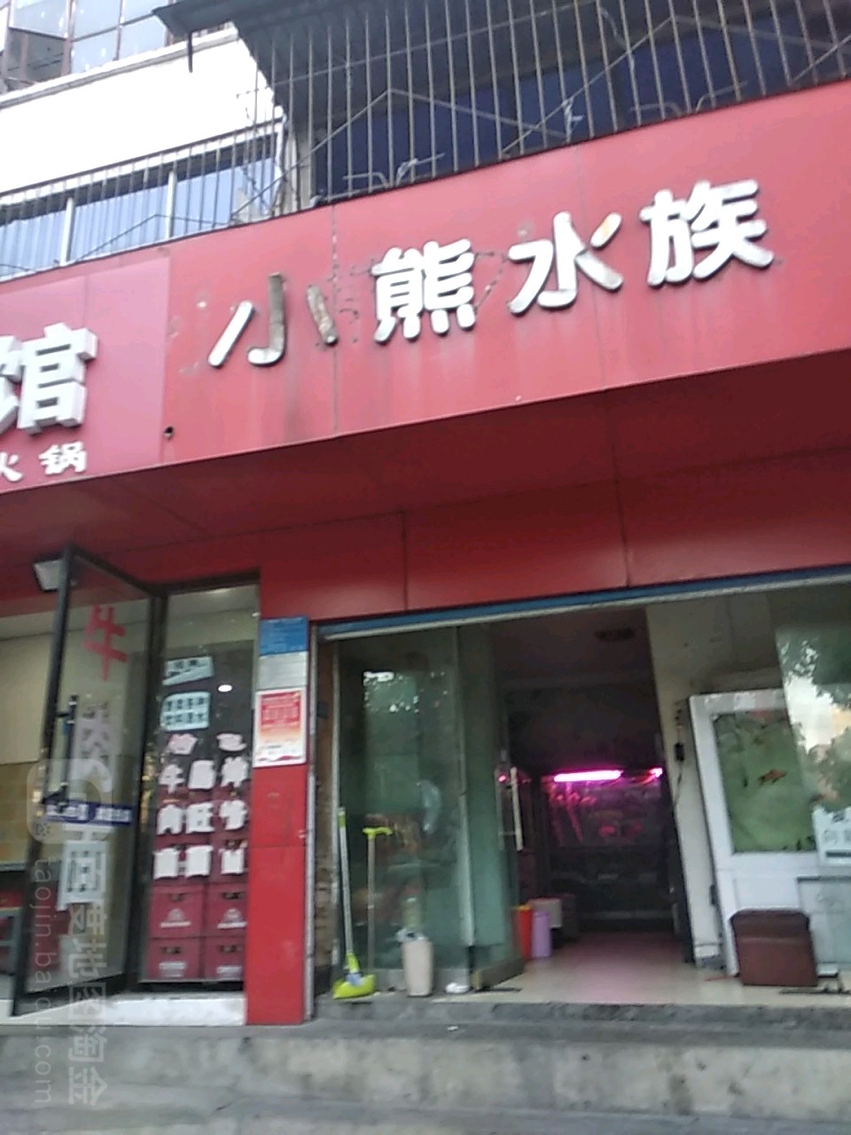 小胸水族