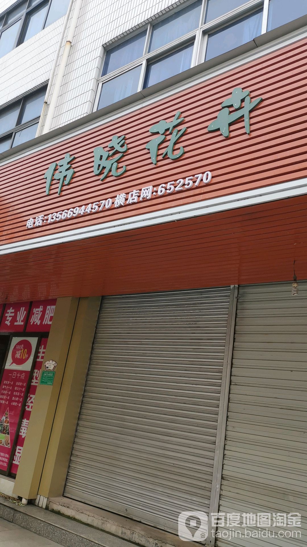 伟晓花卉