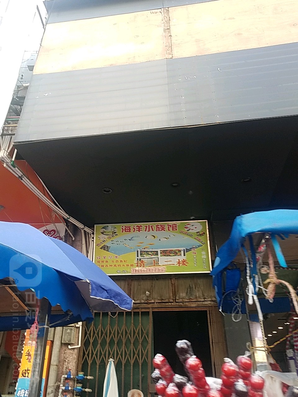 海洋水族馆(解放东路店)