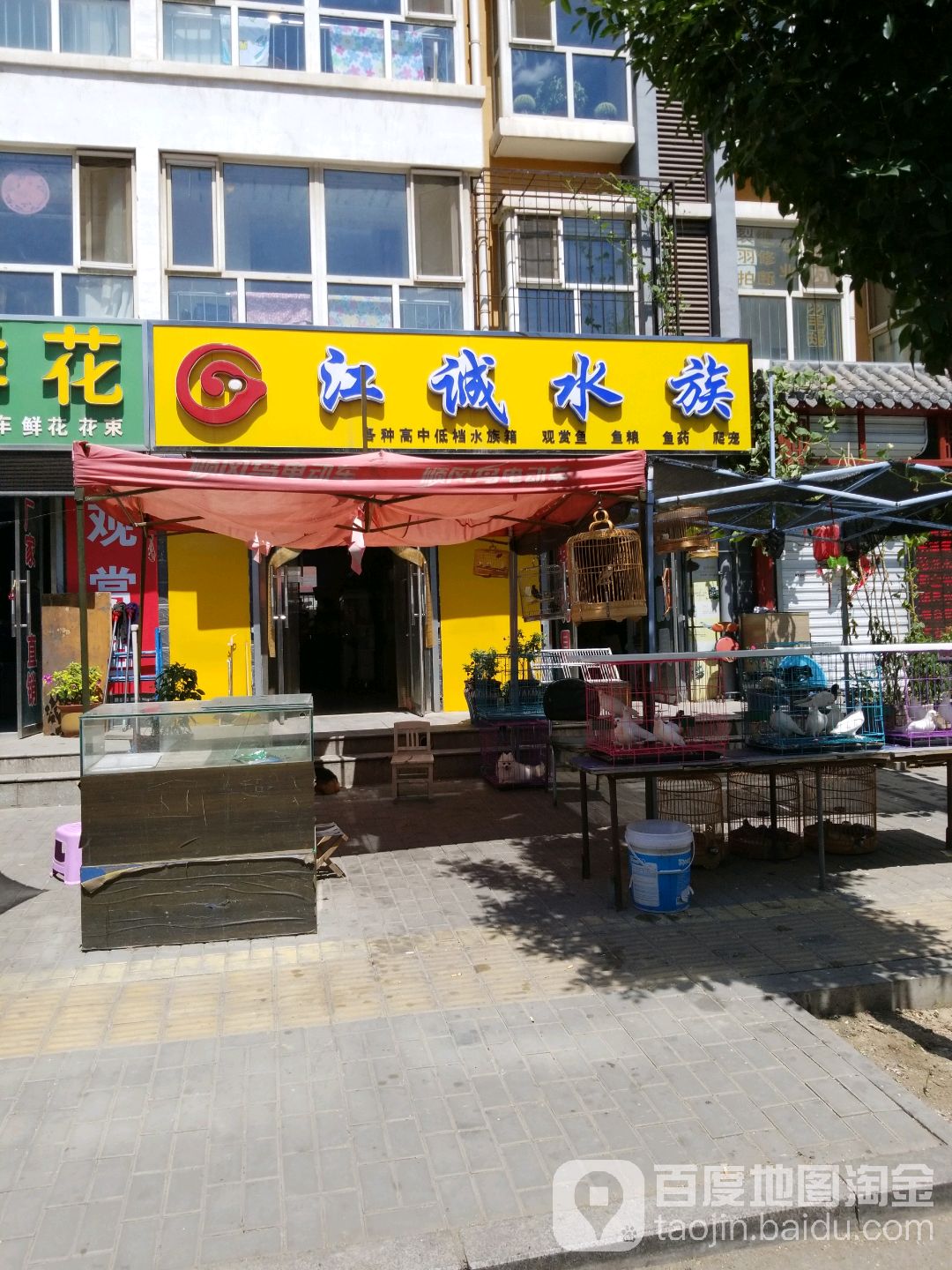 江长水族