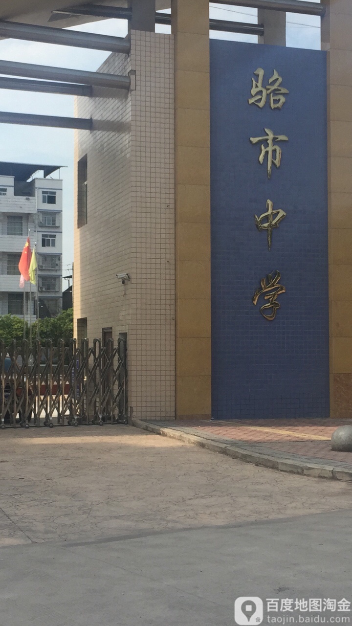 骆市镇中学