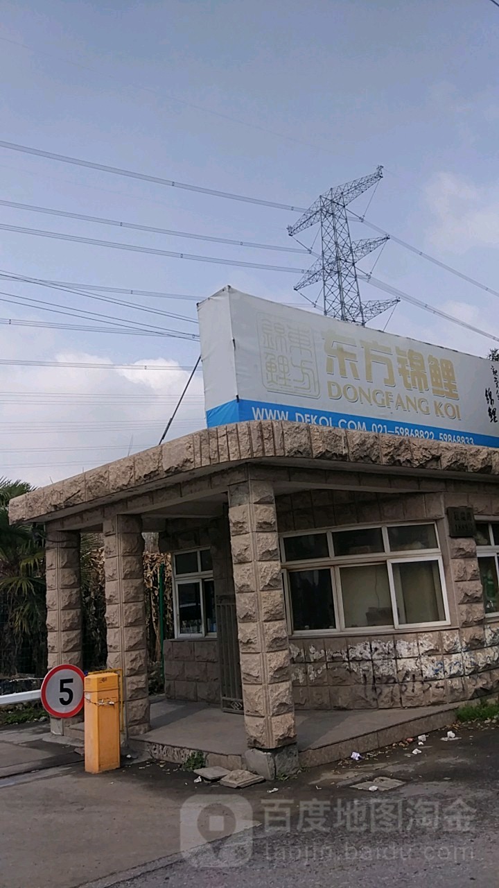 东方锦鲤(崧瑞路店)