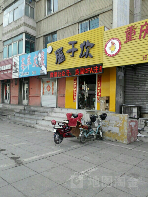 辽阳属于你宠物店店