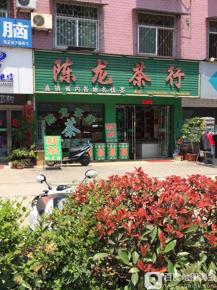 陈龙茶行