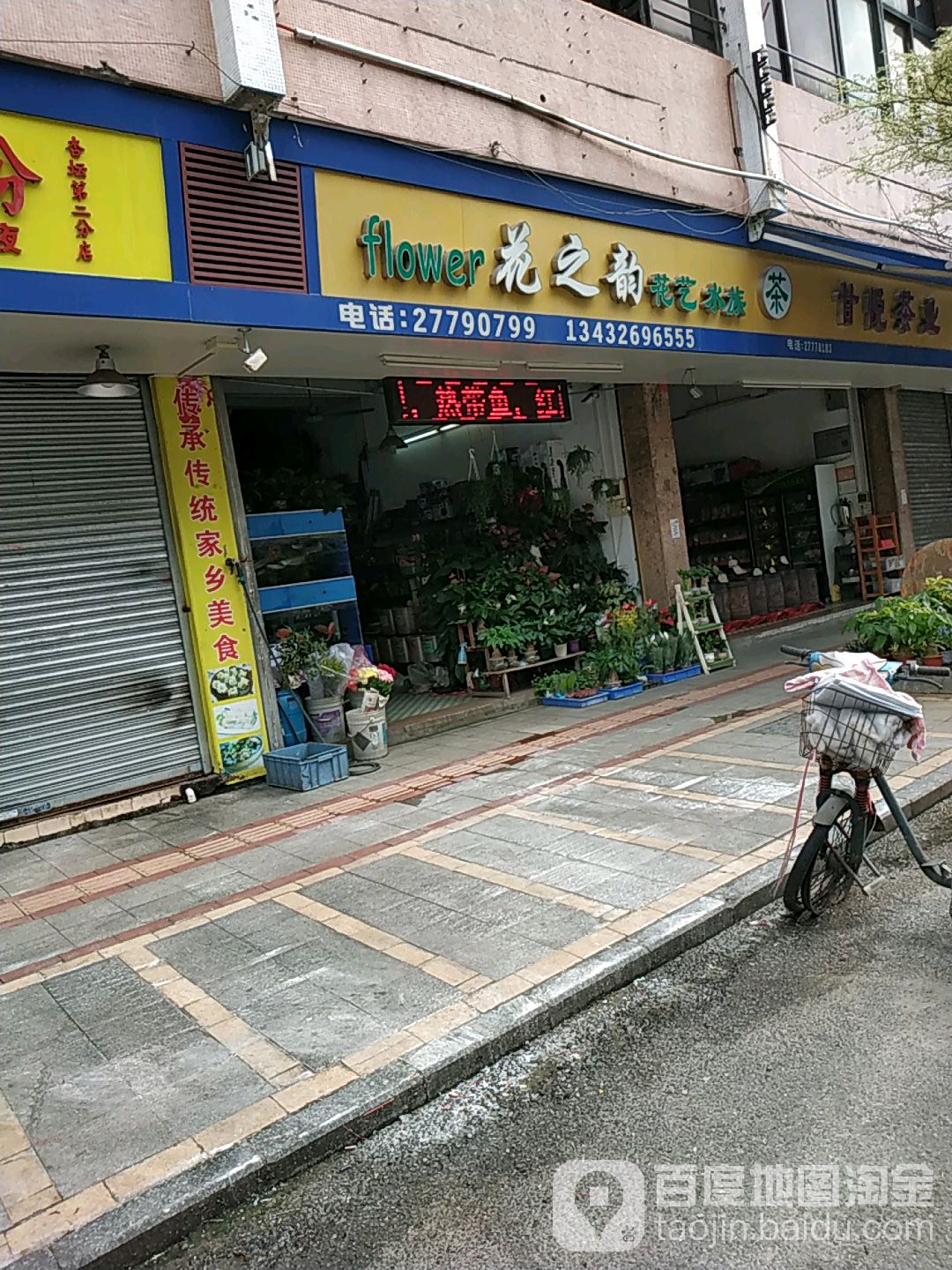 花之韵花艺水族