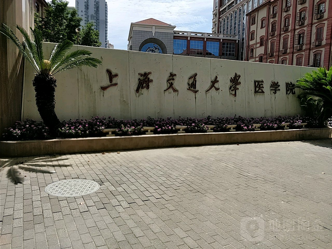 上海交通大学护理学院图片