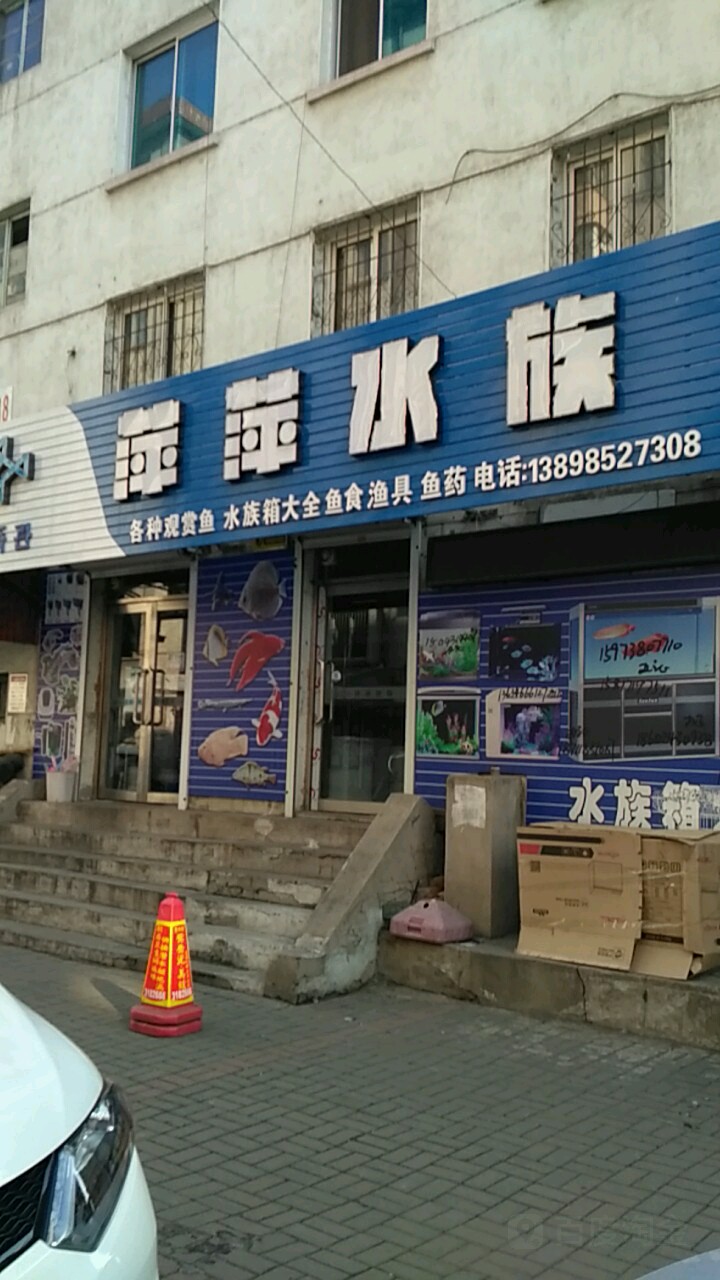 萍萍水族